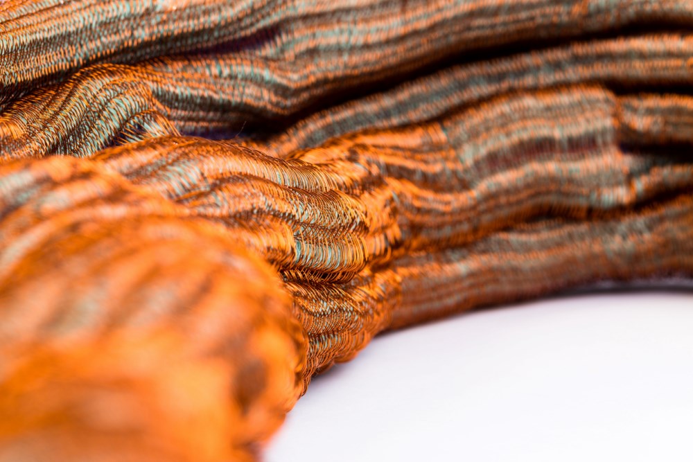 רוית חפר ( צילום: אחיקם בן יוסף)